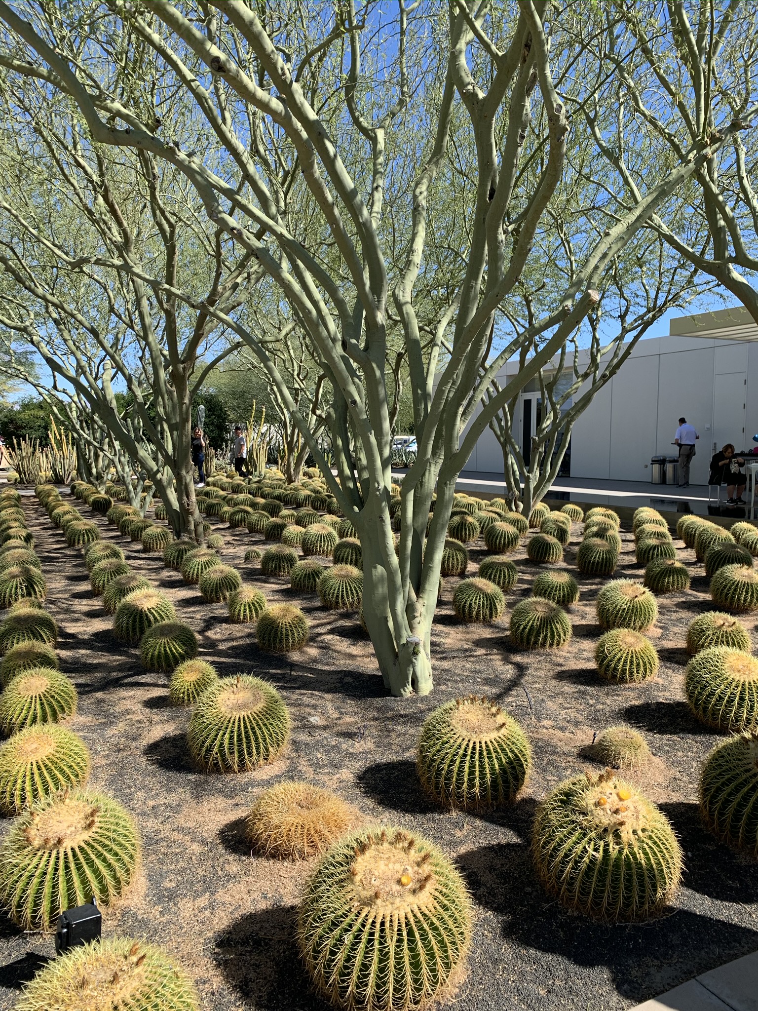 Sunnylands, Palm Springs